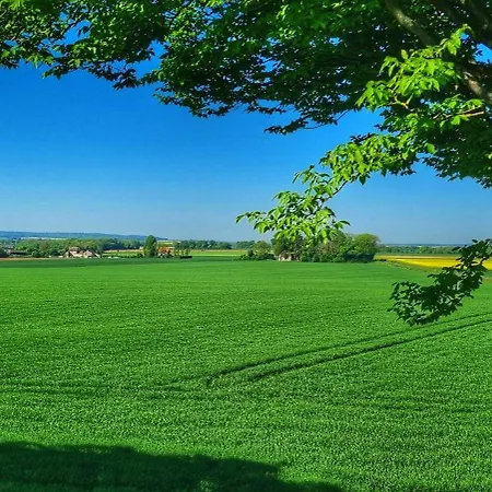 Du Grand Frêne Orrouy
