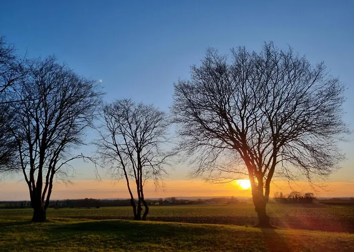 Du Grand Frene Orrouy