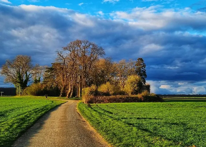 Holiday home Du Grand Frene *