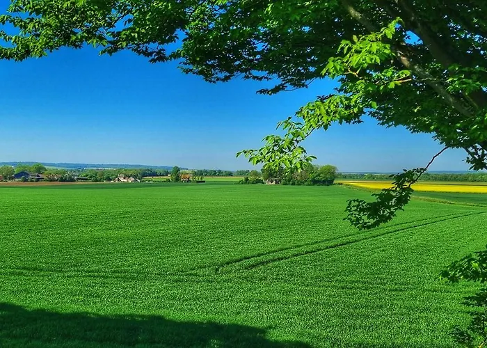 Du Grand Frene Orrouy